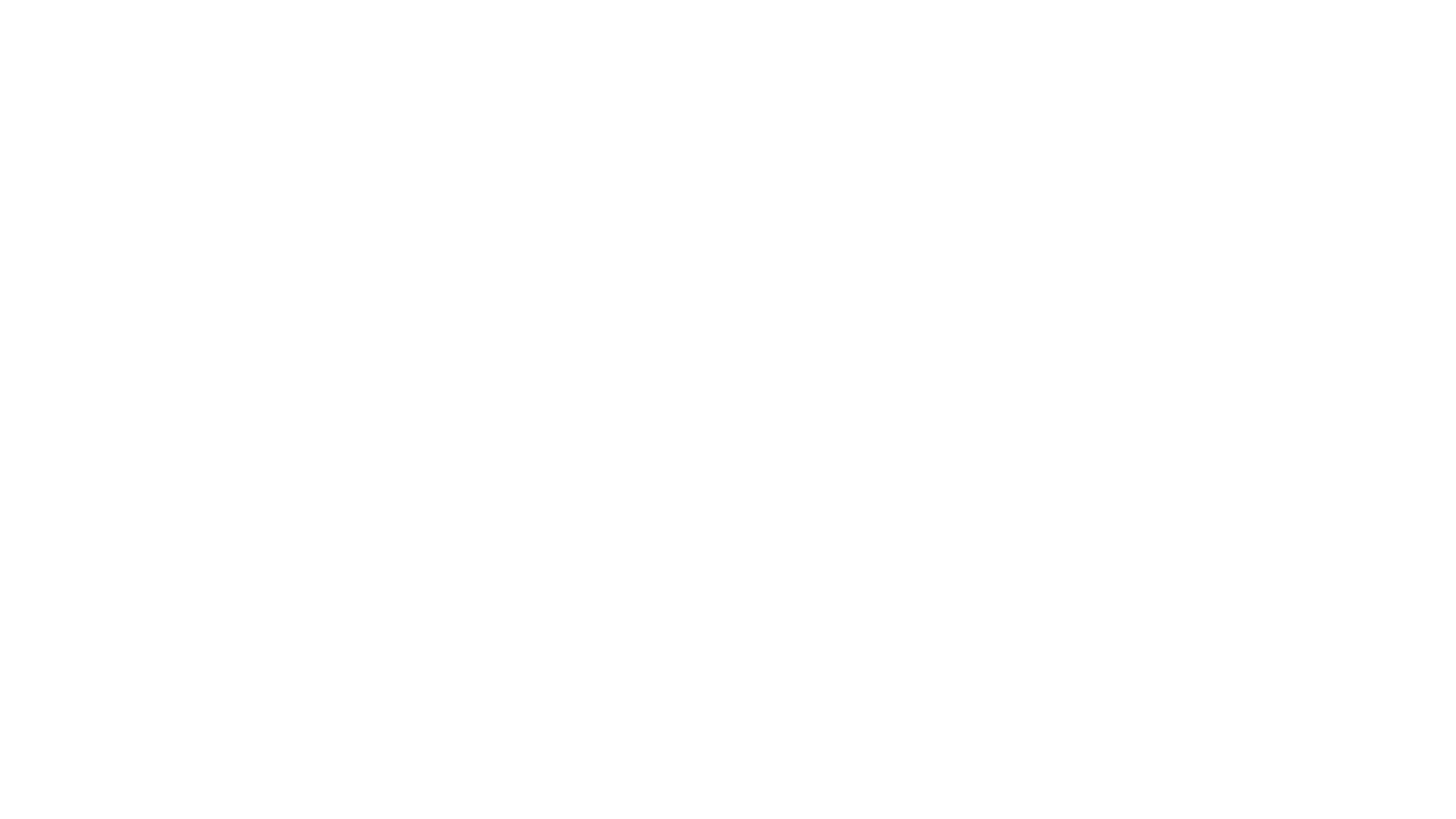 BC INTELIGENCE SERVICE LLC